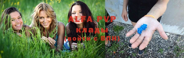 круглые Аркадак
