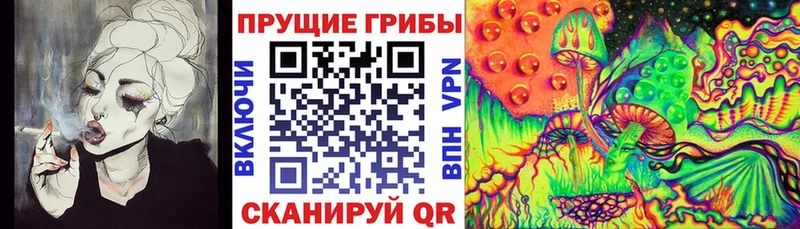 Галлюциногенные грибы Magic Shrooms Дюртюли
